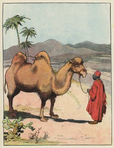 Bactrian Camel by Benjamin Rabier